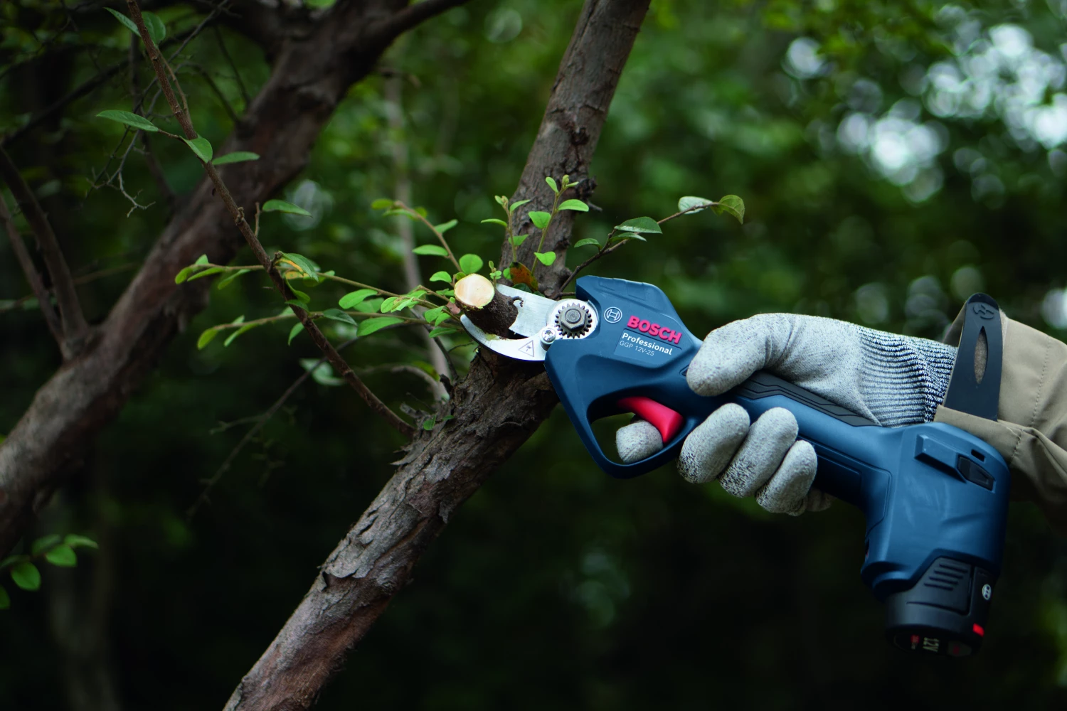 Bosch GGP 12V-25 Kit sécateur sans fil 12 V (2 x 3,0 Ah)-image