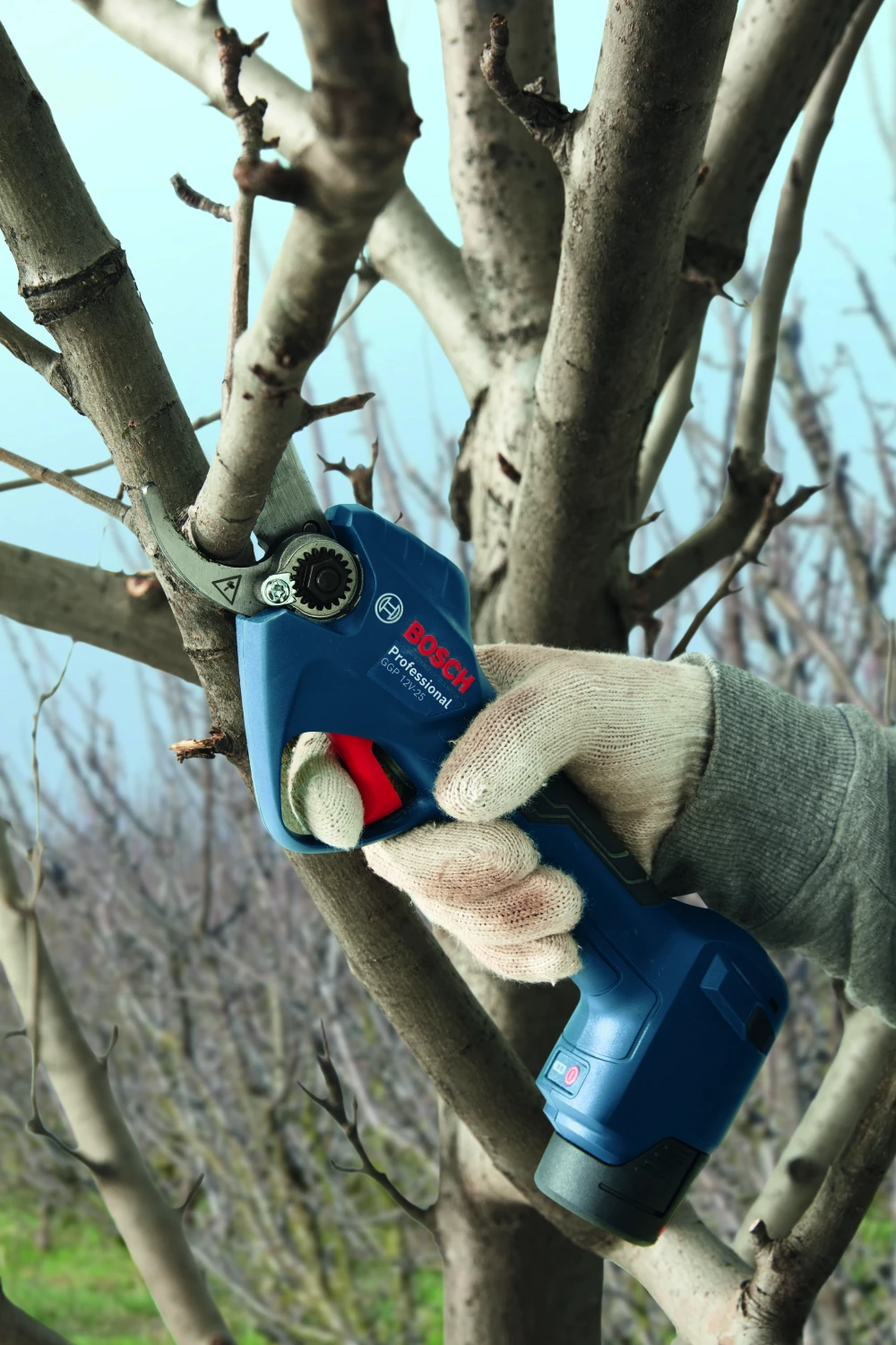 Bosch GGP 12V-25 Kit sécateur sans fil 12 V (2 x 3,0 Ah)-image