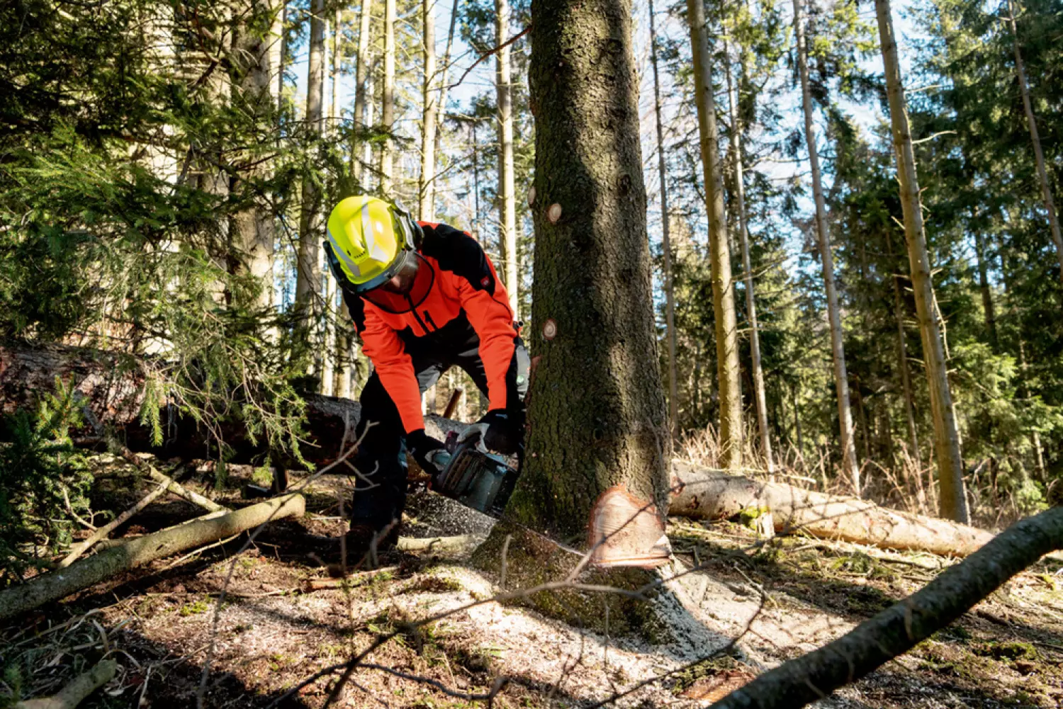 Metabo MS 36-18 LTX BL 40 body Tronçonneuse sans fil-image