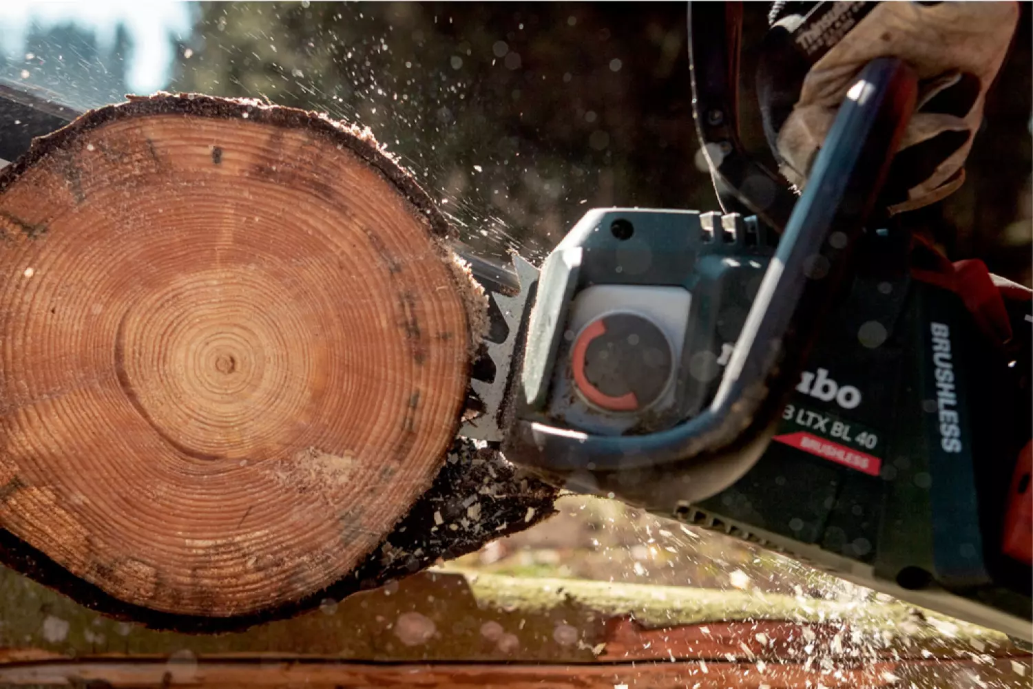 Metabo MS 36-18 LTX BL 40 body Tronçonneuse sans fil-image